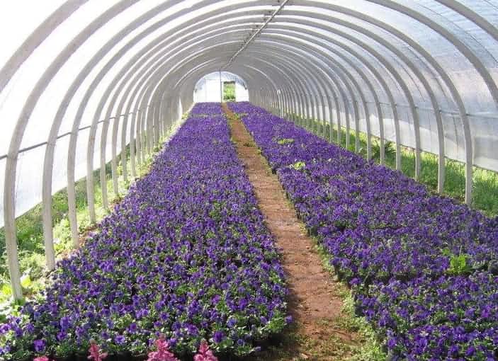 空气源热泵供暖效果惊人，花卉温室节能30-40% 