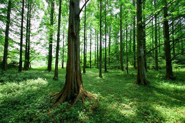 除了外星人入侵地球，你在《三体》中还看到了什么？ 