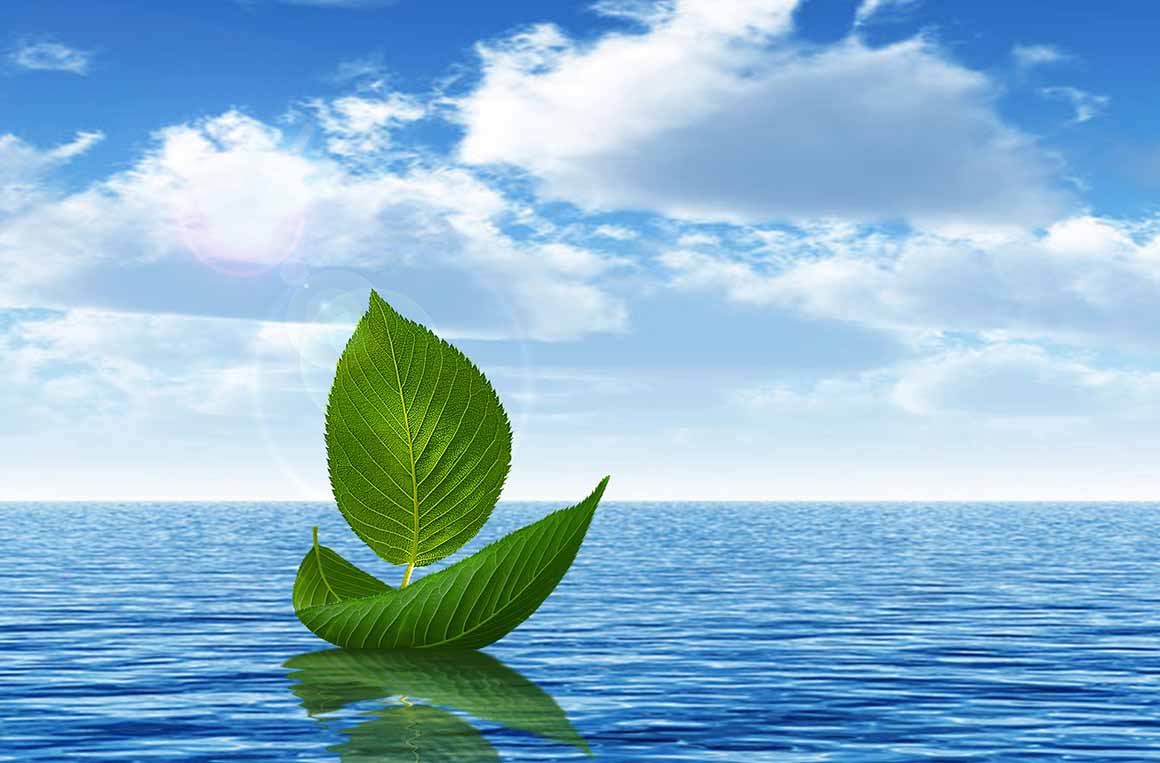芬尼空气热水器和燃气热水器的比较 