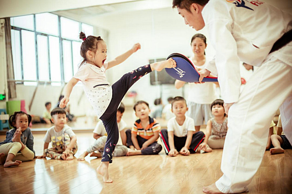 芬尼克兹 芬尼克兹