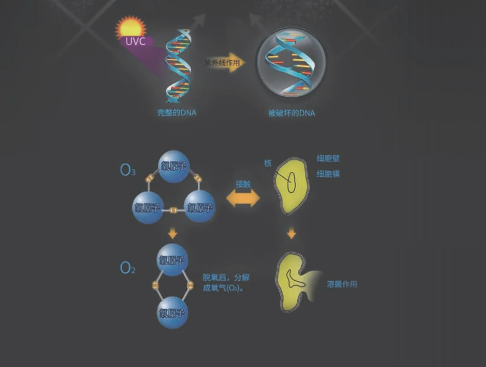 UV紫外线杀菌模块
